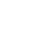 Digital Ad PPC Buying Client: Live Nation